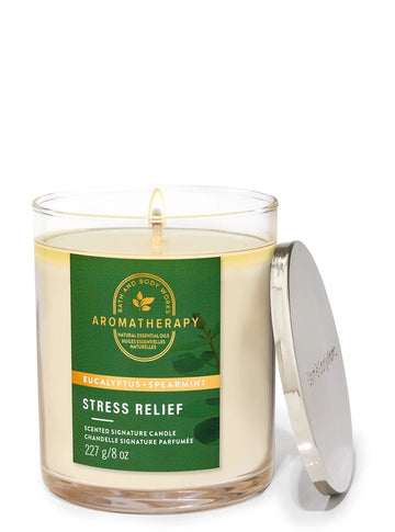 Eucalyptus Spearmint Signature Single Wick Candle