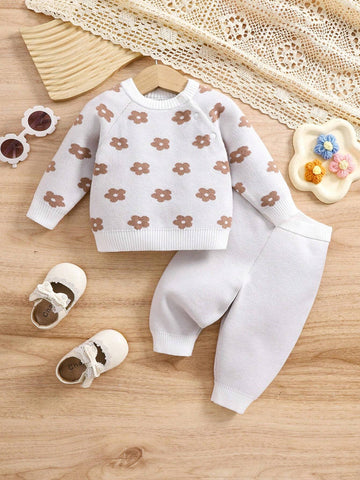 Baby Girl Floral Pattern Raglan Sleeve Sweater & Knit Pants