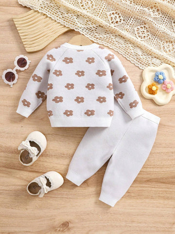 Baby Girl Floral Pattern Raglan Sleeve Sweater & Knit Pants