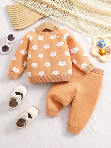 Baby Girl Floral Pattern Raglan Sleeve Sweater & Knit Pants