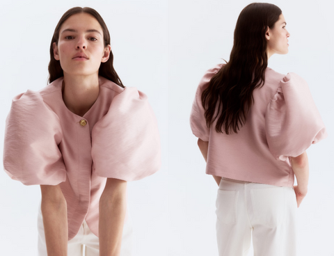 Balloon-sleeved blouse