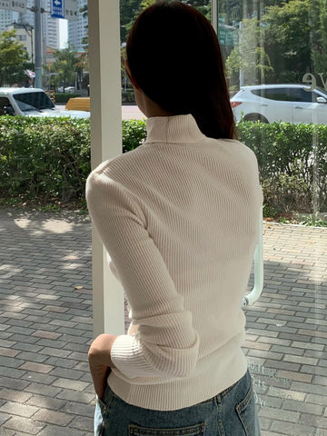 Turtleneck Women Sweater