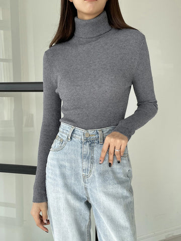 Turtleneck Women Sweater