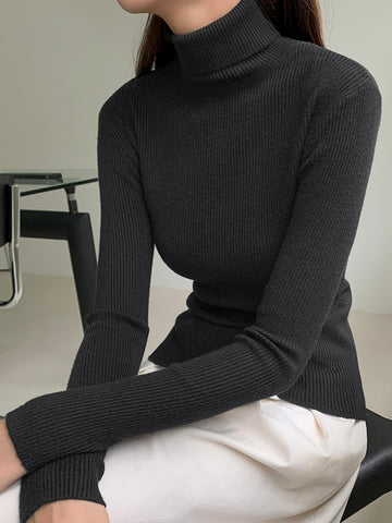 Turtleneck Women Sweater