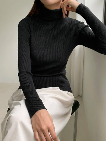 Turtleneck Women Sweater