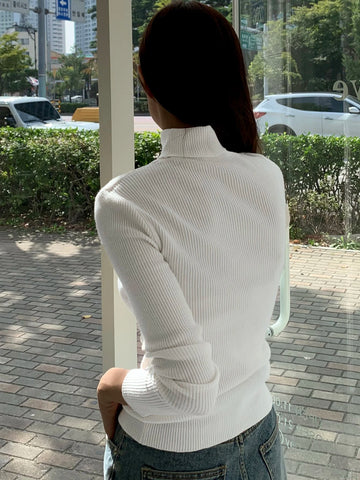 Turtleneck Women Sweater