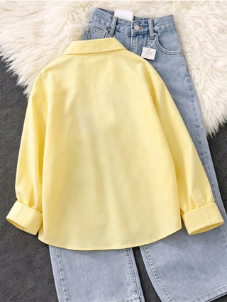 Minimalist Embroidered Decor Long Sleeve Loose Blouse