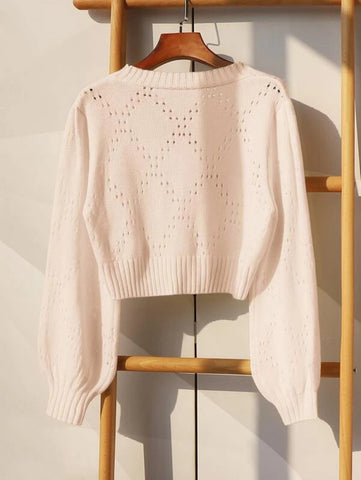 Flower Embroidery Pointelle Knit Crop Cardigan