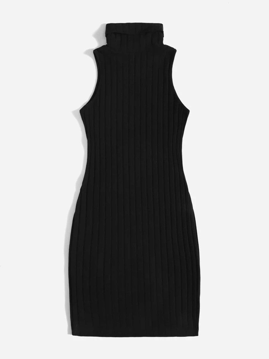 Unity Turtleneck Ribbed Knit Dress