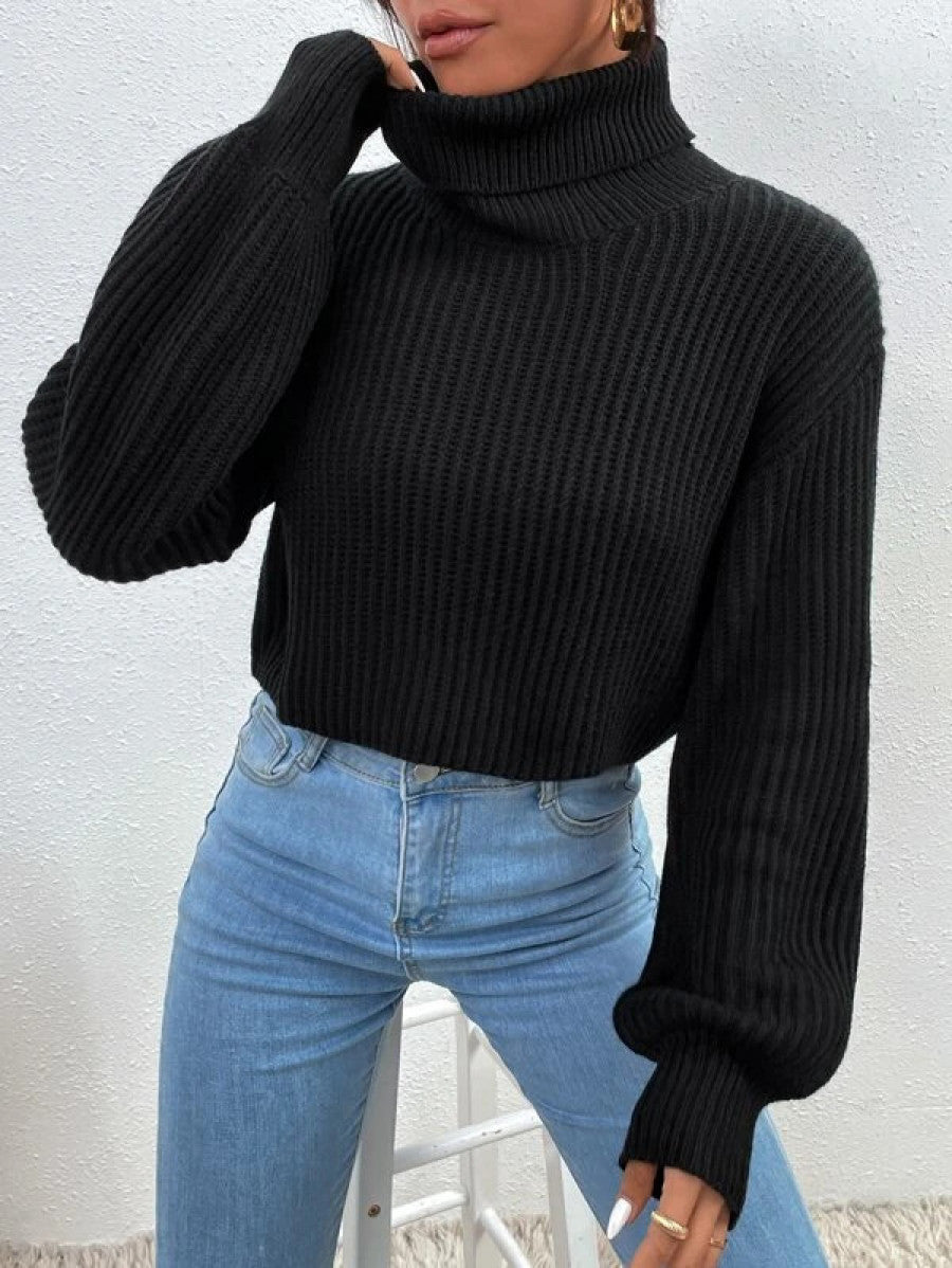 Turtleneck Ribbed Knit Drop Shoulder Sweater