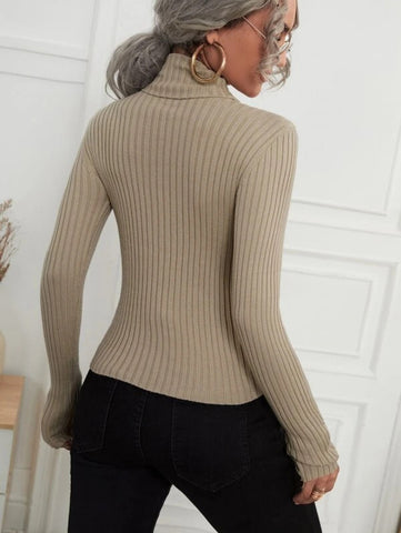 Turtle Neck Ribbed Knit Sweater