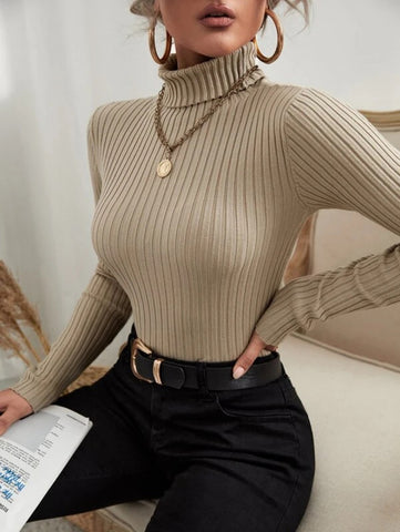 Turtle Neck Ribbed Knit Sweater