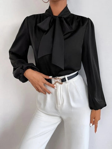 Satin Tie Neck Bishop Sleeve Blouse